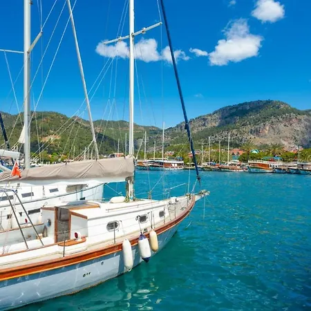 Pine 3 * Göcek